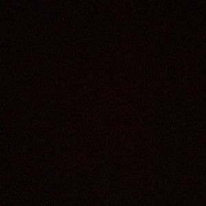 Meet your Posher, Cody